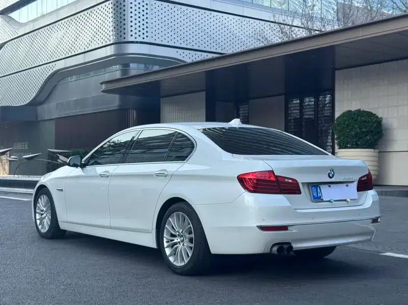 2014 BMW 5 Series 525Li Luxury Design Package — миниатюра 5