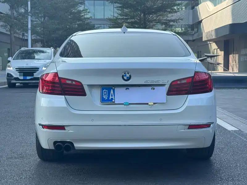 2014 BMW 5 Series 525Li Luxury Design Package — миниатюра 6