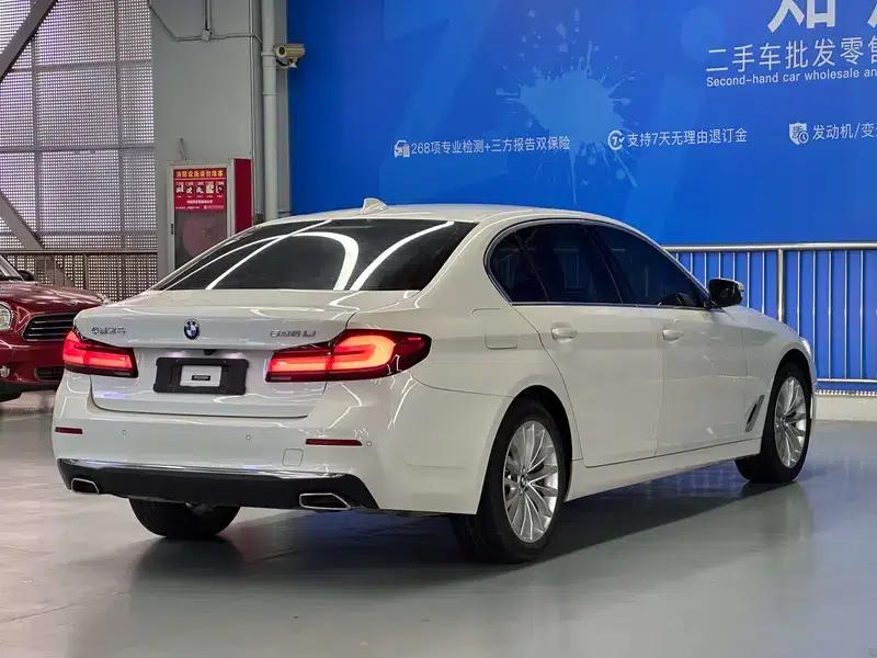 2021 BMW 5 Series 525Li Luxury Package — миниатюра 17