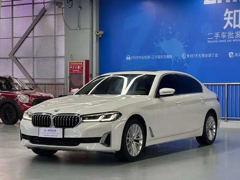 2021 BMW 5 Series 525Li Luxury Package — миниатюра 20