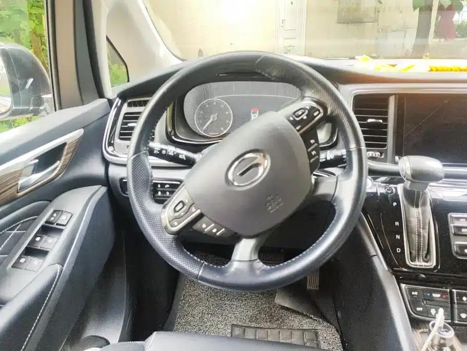 Trumpchi M8 2020 Master Edition 390T Premium Edition — миниатюра 15