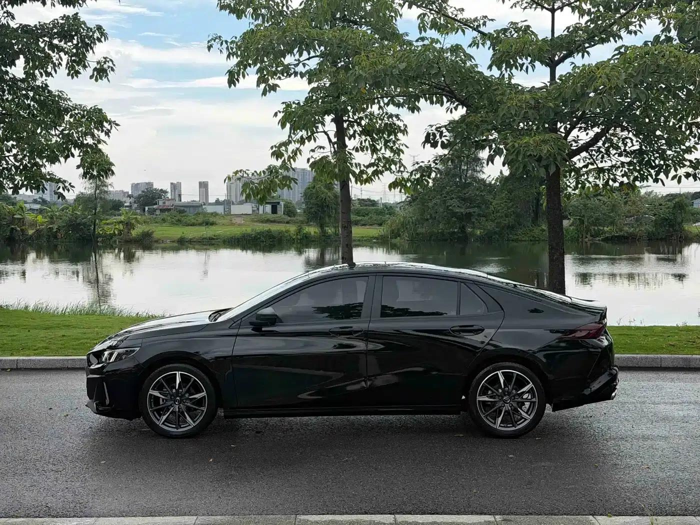 Shadow Leopard 2024 270T DCT Shadow Leopard S Edition — миниатюра 8