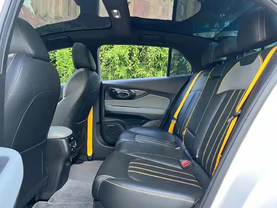 Shadow Leopard 2021 270T DCT J16 Edition — миниатюра 10