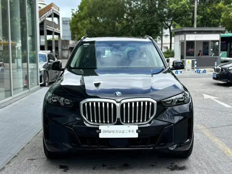 BMW X5 2023 xDrive30Li M Sport Shadow Edition — миниатюра 2