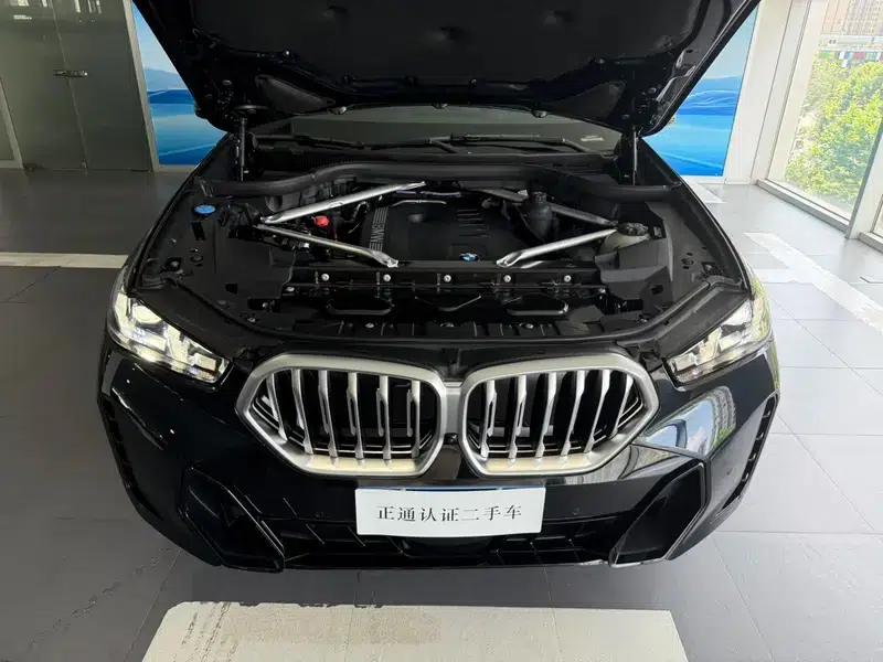 2023 BMW X6 xDrive40i M Sport Package (Facelift) — миниатюра 12