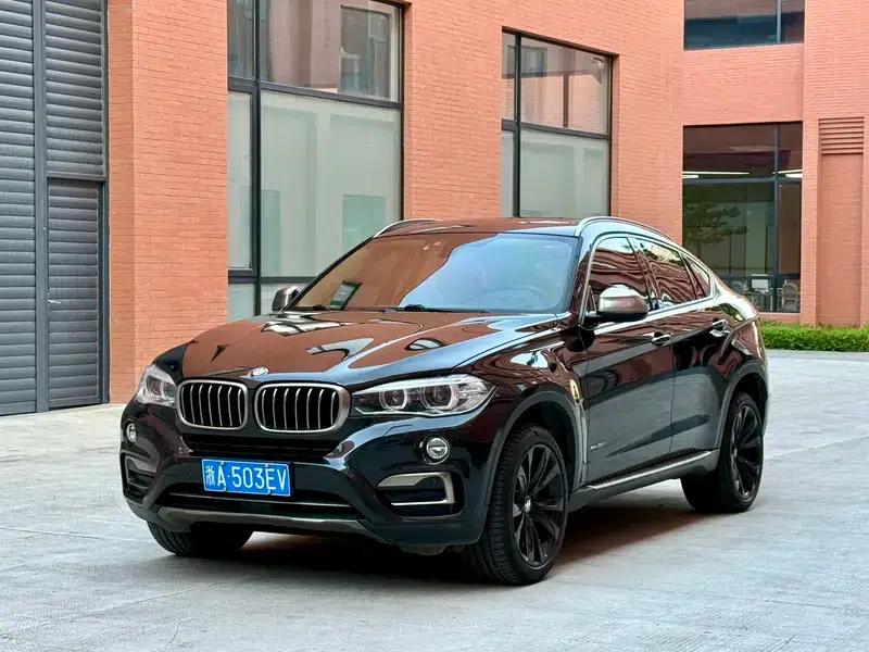 BMW X6 2018 xDrive35i Leading Edition — миниатюра 1
