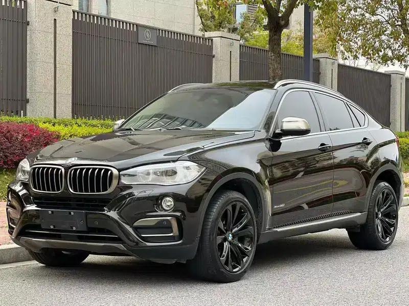 BMW X6 2017 xDrive35i Leading Edition — миниатюра 1