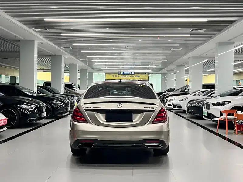 2019 Mercedes-Benz S-Class S 450 L 4MATIC Limited Edition — миниатюра 6