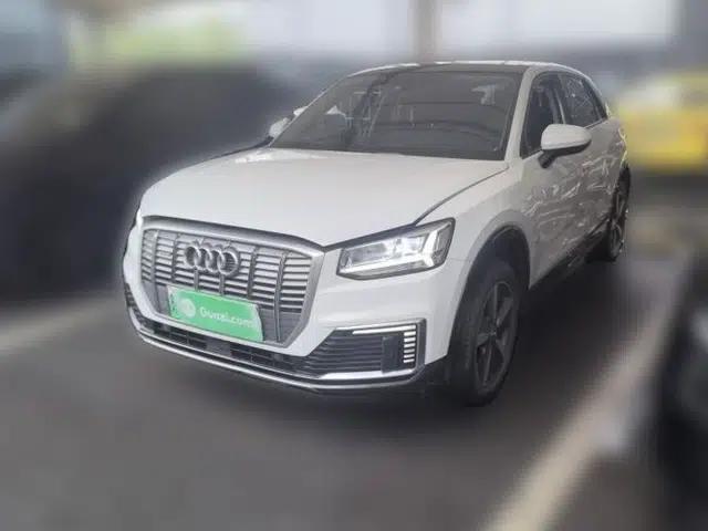 Audi Q2L e-tron 2019 Q2L e-tron Pure Electric Smart Style