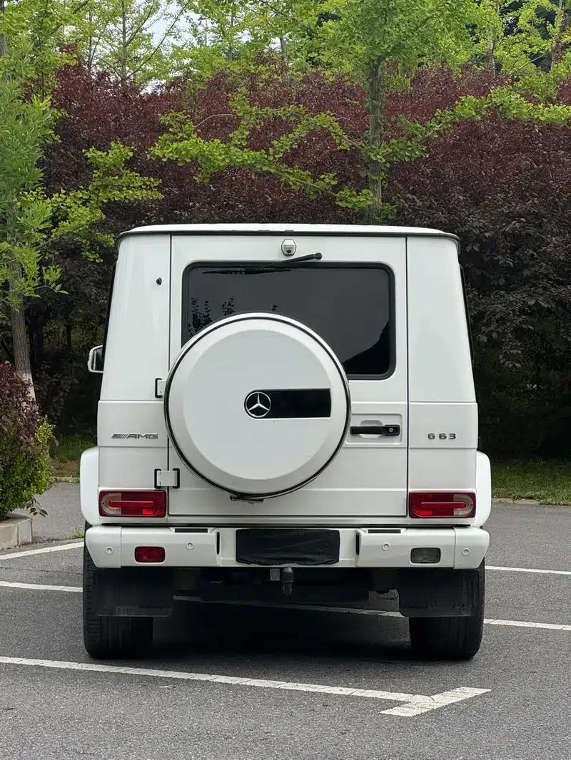 2017 Mercedes-Benz G-Class G 500 Excellence Edition — миниатюра 4