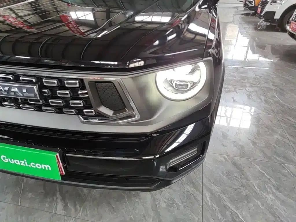 Haval Big Dog PLUS 2023 2.0T 4WD Trendy Wild Plus — миниатюра 24