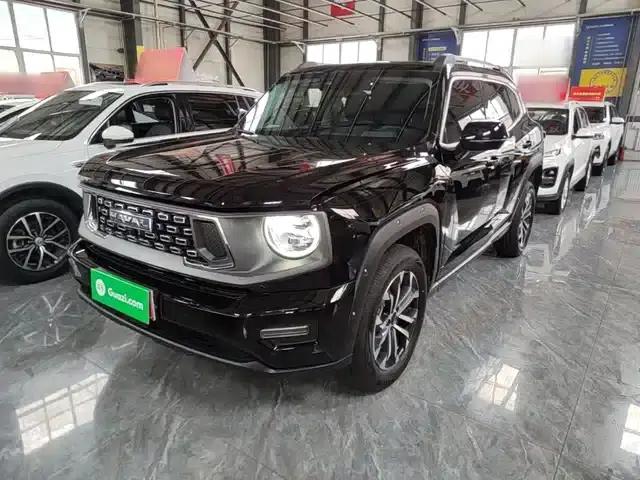 Haval Big Dog PLUS 2023 2.0T 4WD Trendy Wild Plus