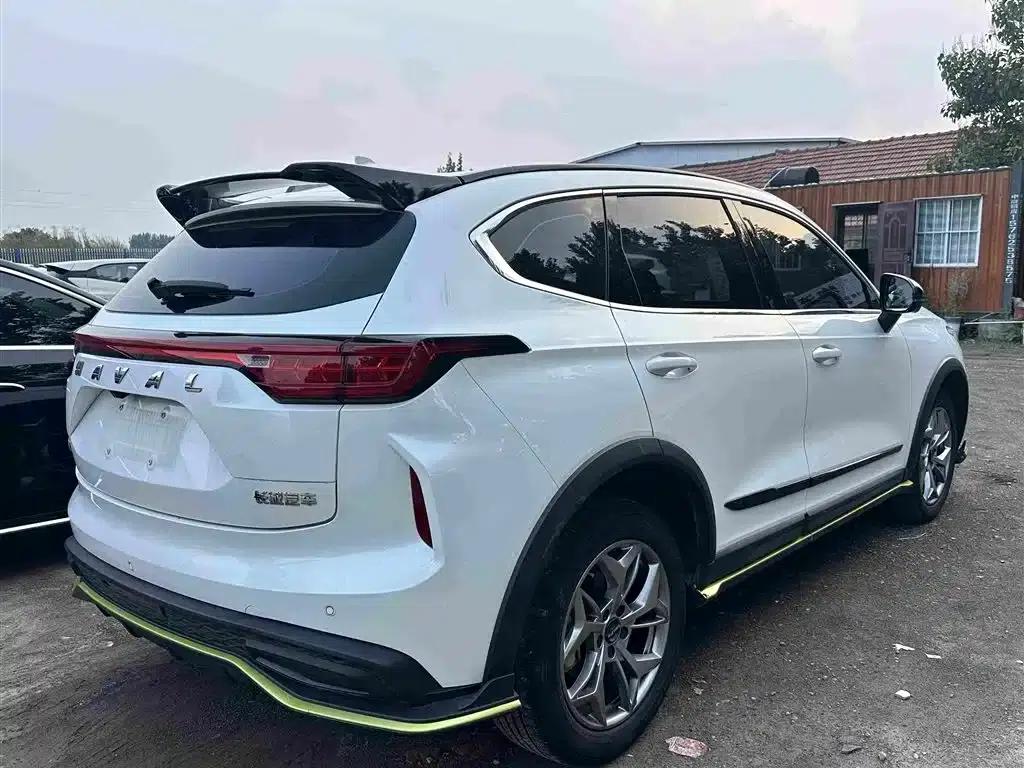 Haval Chitu 2022 Enjoy Edition 1.5T Bronze Rabbit — миниатюра 10