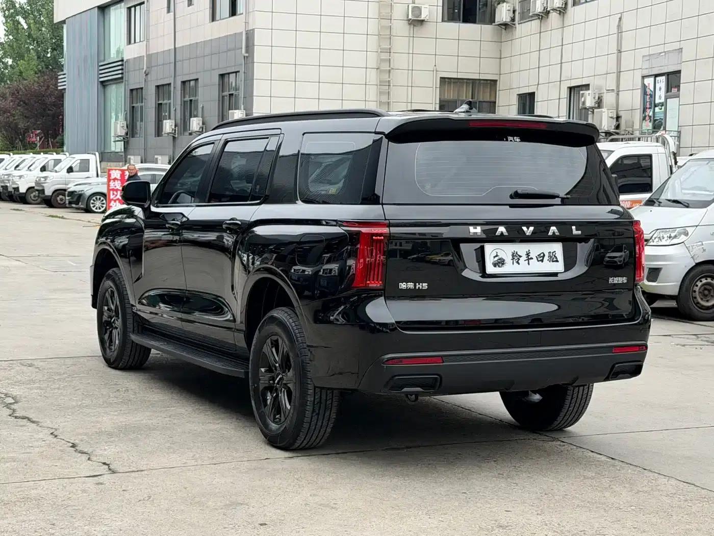 Haval H5 2025 2.0T Automatic 4WD Navigator Edition (Diesel) — миниатюра 14