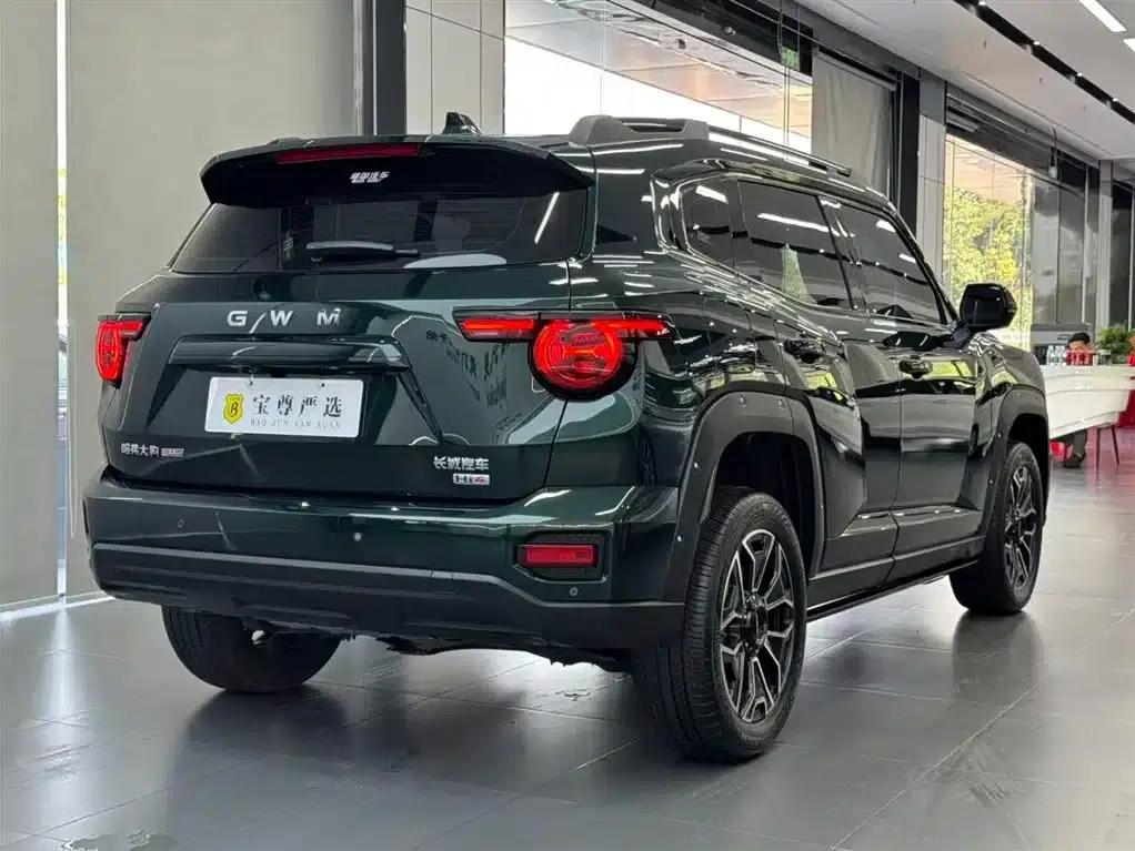 Haval Big Dog PLUS New Energy 2026 Hi4 105km Trendy Electric Edition — миниатюра 5