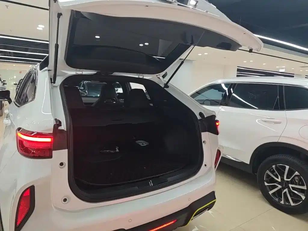 Haval H6S 2022 2.0T 2WD Sportage Edition — миниатюра 19