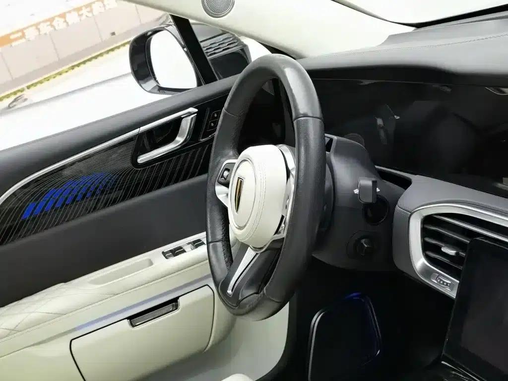 Hongqi E-HS9 2021 Model 510km Flagship Edition (Four Seats) — миниатюра 22