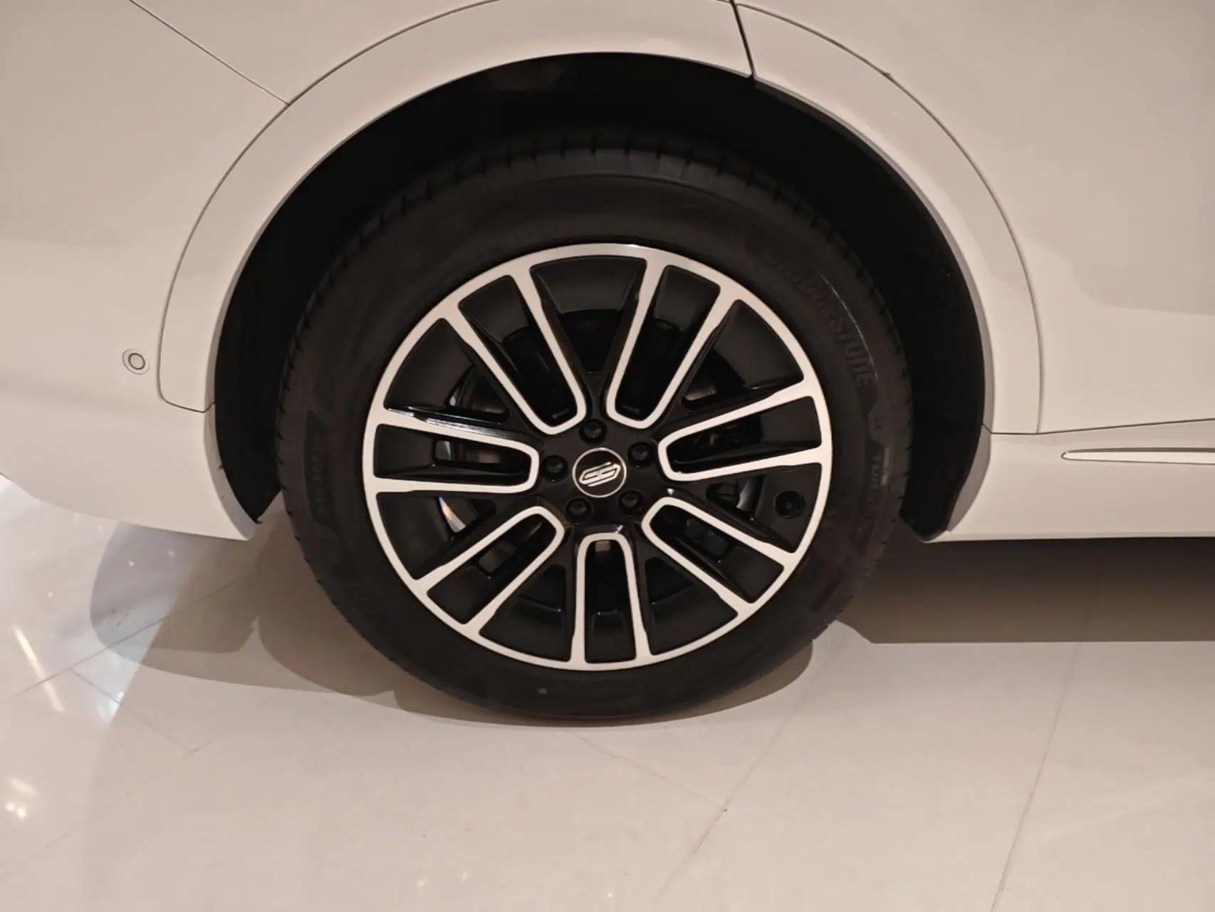 Hima H5 2025 Model Pure Electric Max Long Range — миниатюра 11