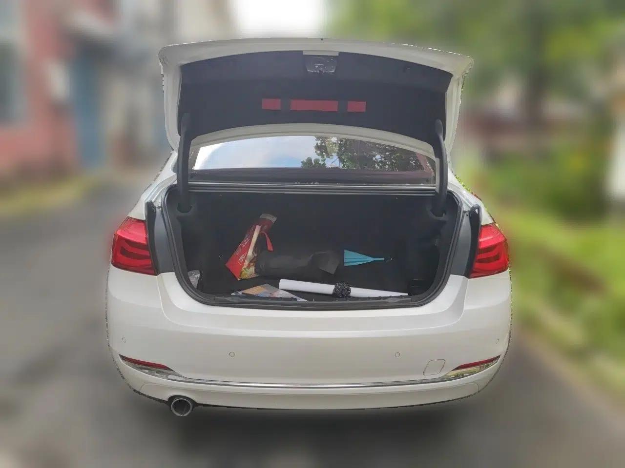 BMW 3 Series 2016 328Li Fashion Model — миниатюра 19