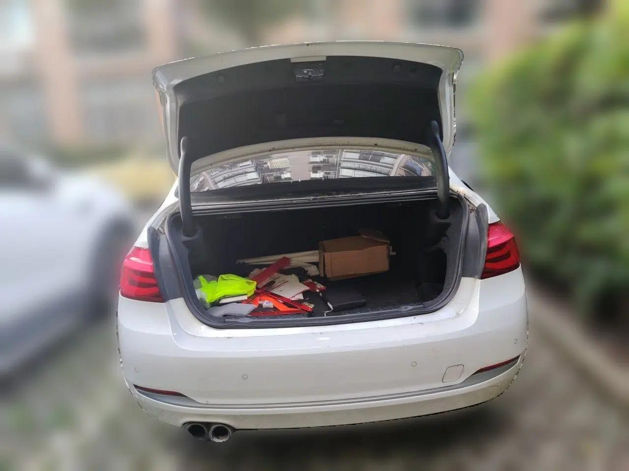 BMW 3 Series 2019 320Li Fashion Model — миниатюра 19