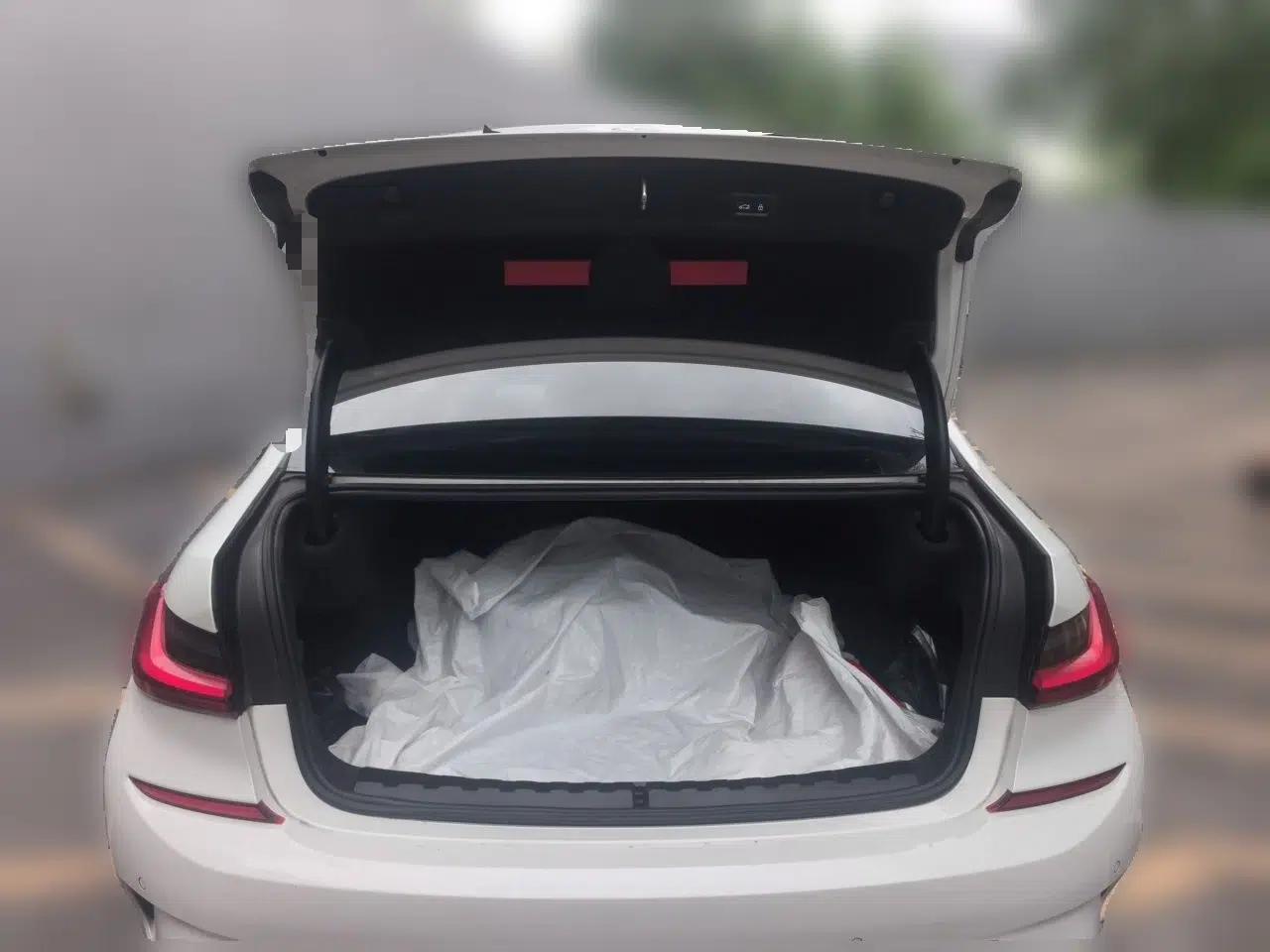 BMW 3 Series 2022 325Li M Sport Night Edition Package — миниатюра 19