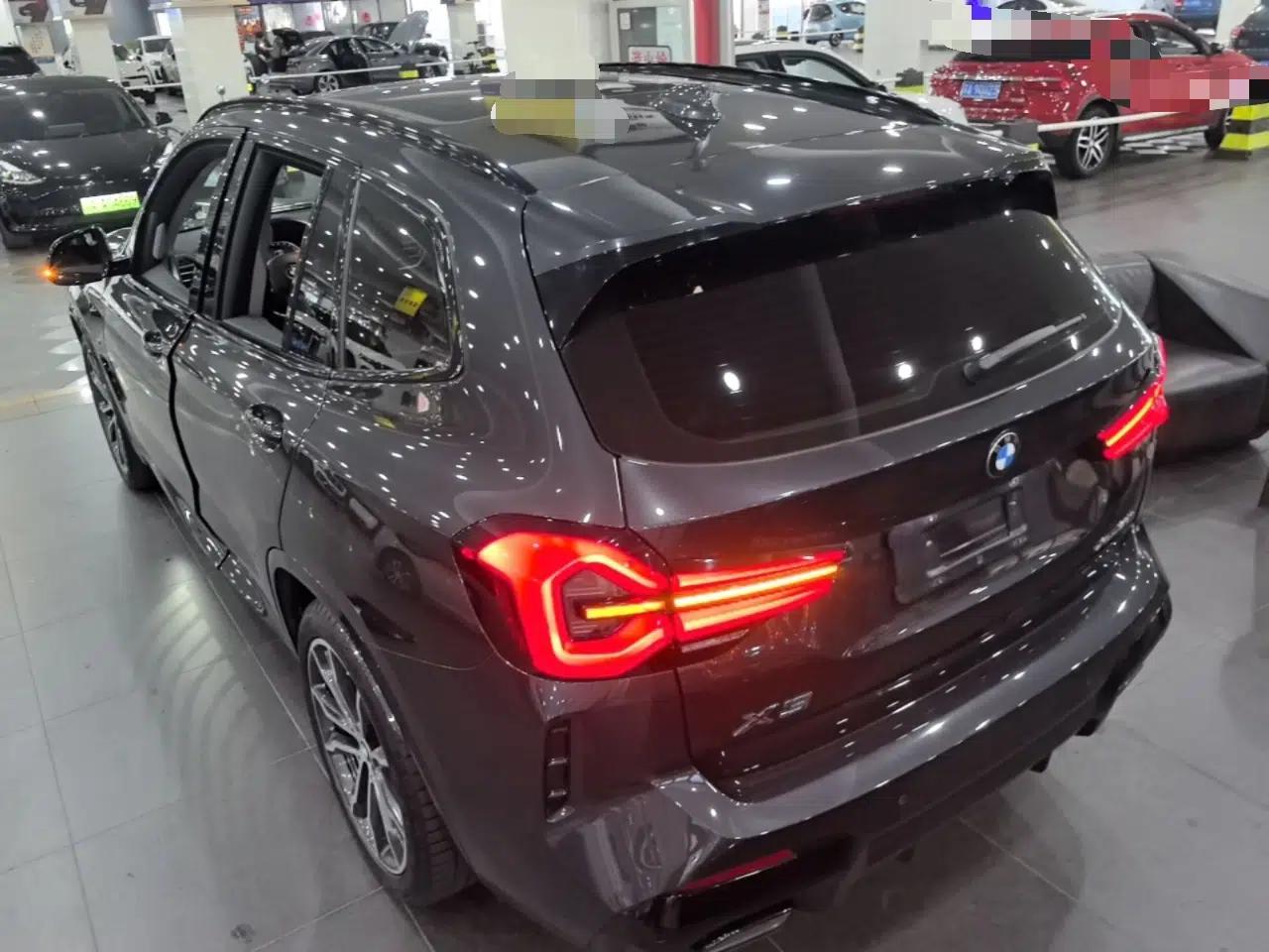 BMW X3 2023 Restyled xDrive30i Leading Edition M Night Sky Package — миниатюра 13