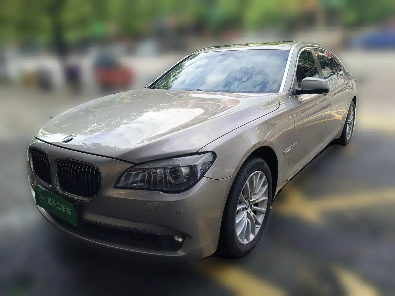 BMW 7 Series 2009 730Li Luxury Model — миниатюра 1