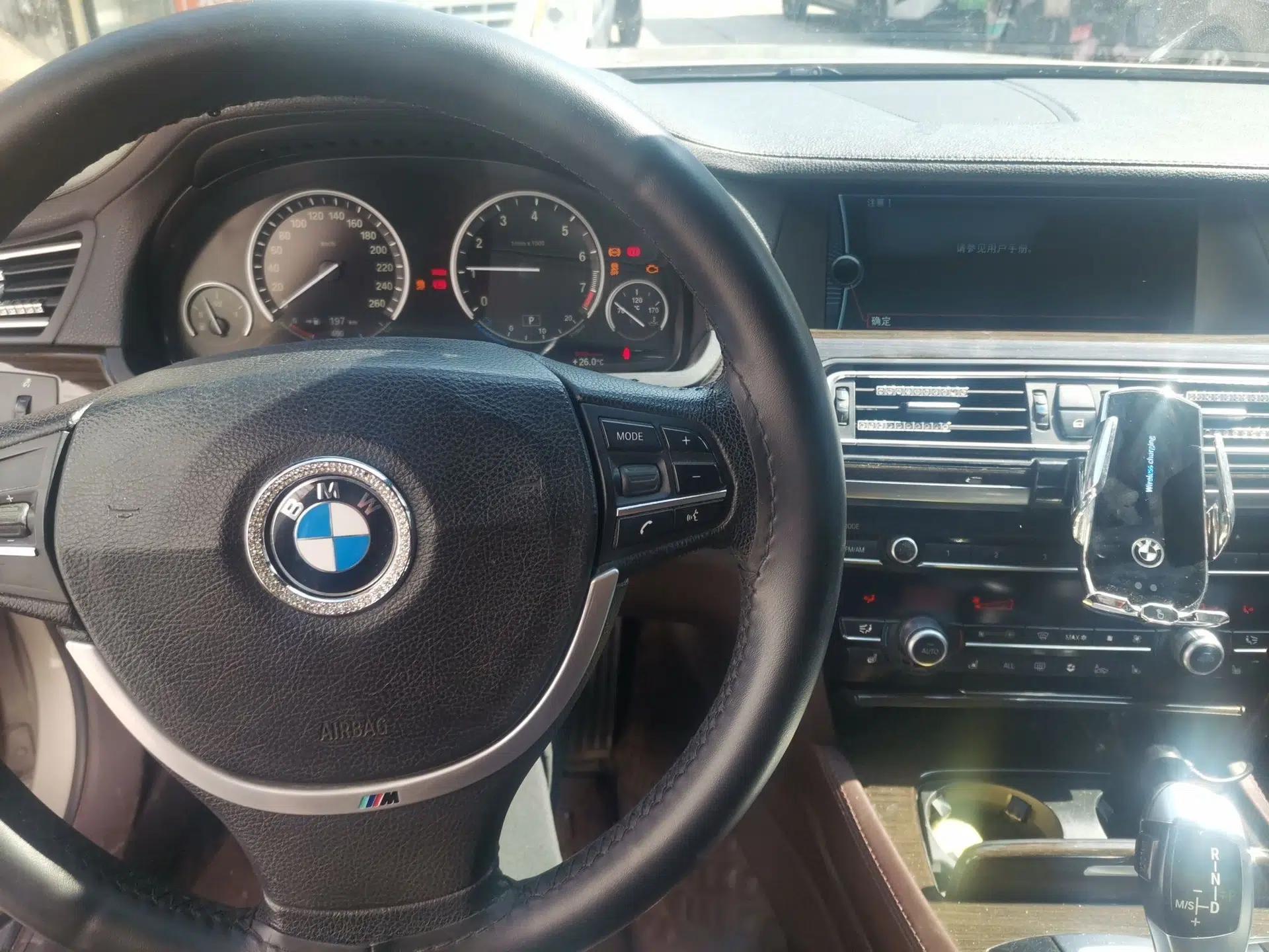 BMW 7 Series 2009 730Li Luxury Model — миниатюра 9