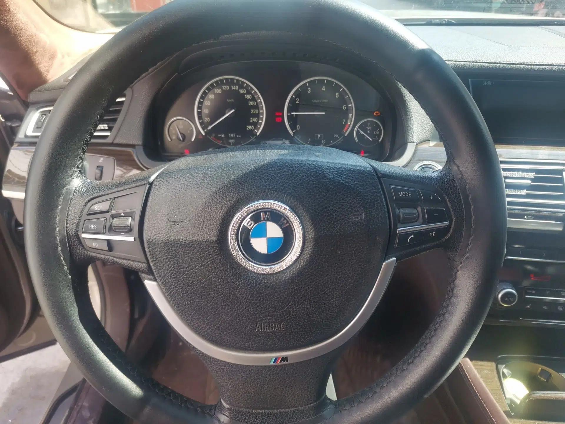 BMW 7 Series 2009 730Li Luxury Model — миниатюра 10