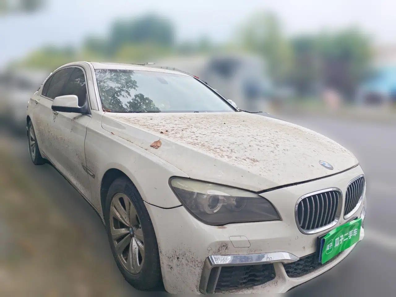 BMW 7 Series 2011 730Li Elegant Model — миниатюра 3