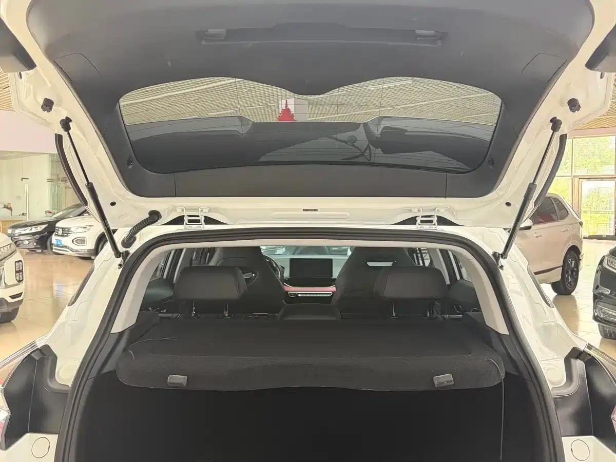 Geely Emgrand S 2021 1.4T CVT Premium Edition — миниатюра 21