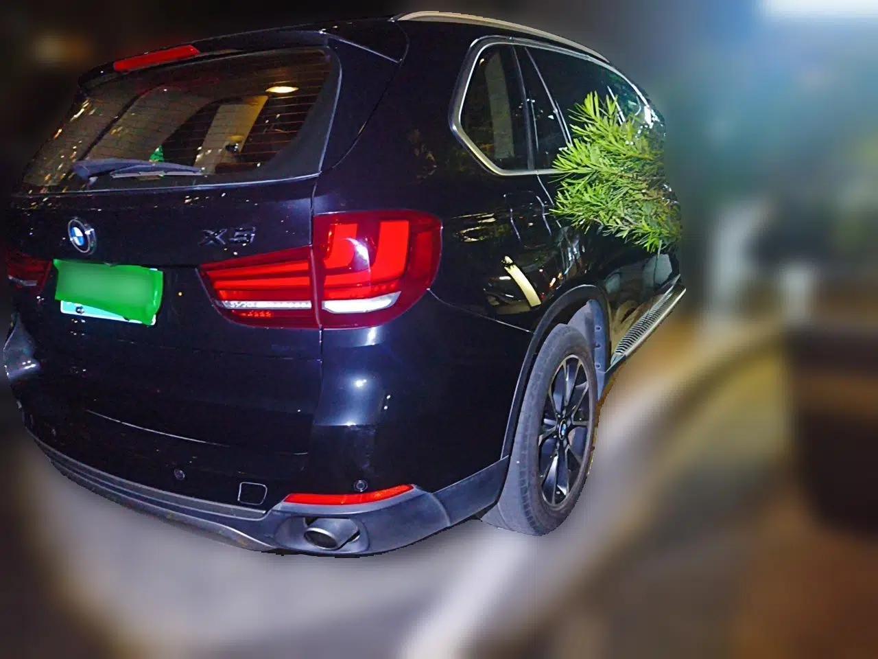 BMW X5 2014 xDrive35i Luxury Edition — миниатюра 6