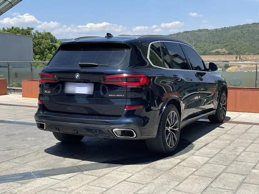 BMW X5 2022 xDrive 30Li Luxury M Sport Package — миниатюра 3
