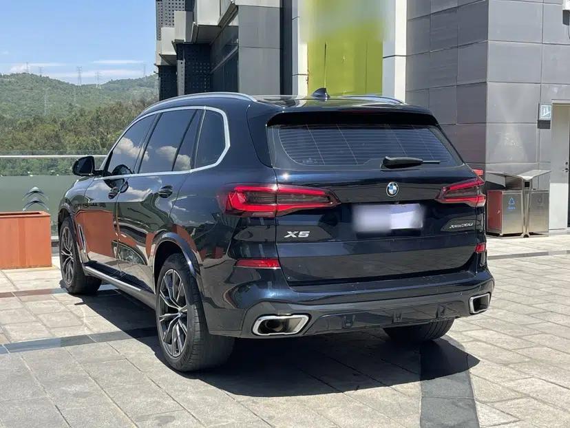 BMW X5 2022 xDrive 30Li Luxury M Sport Package — миниатюра 4
