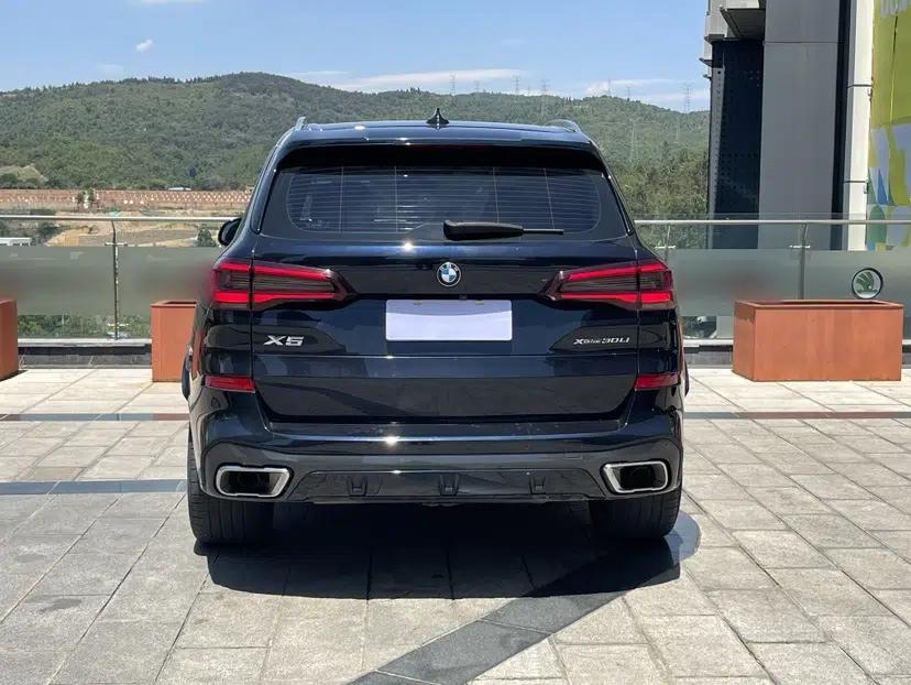 BMW X5 2022 xDrive 30Li Luxury M Sport Package — миниатюра 6
