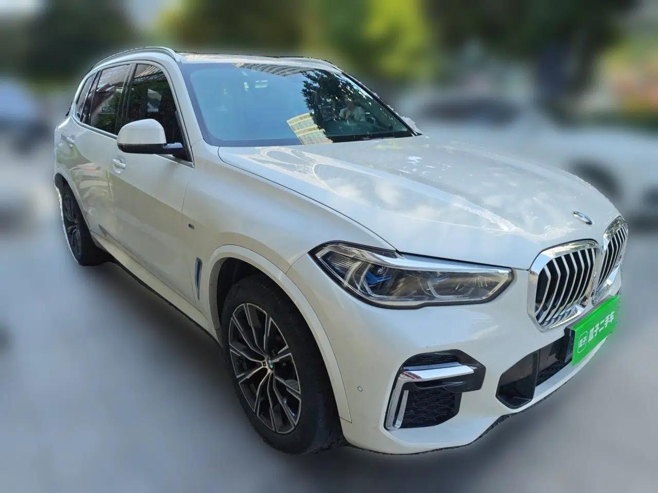 BMW X5 2022 xDrive 30Li Luxury M Sport Package — миниатюра 3