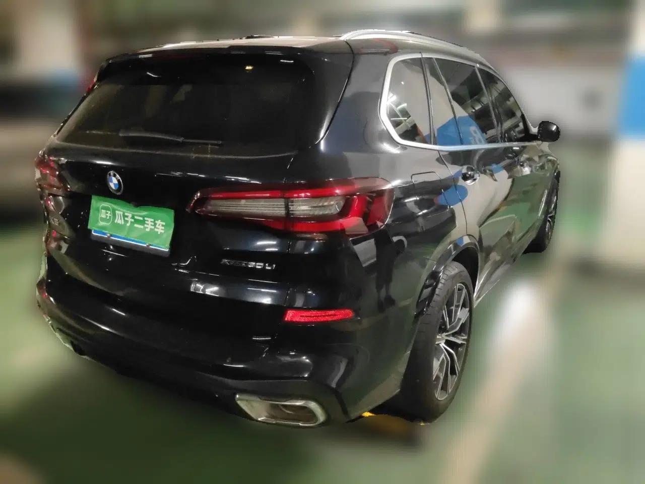 BMW X5 2022 xDrive 30Li Luxury M Sport Package — миниатюра 6