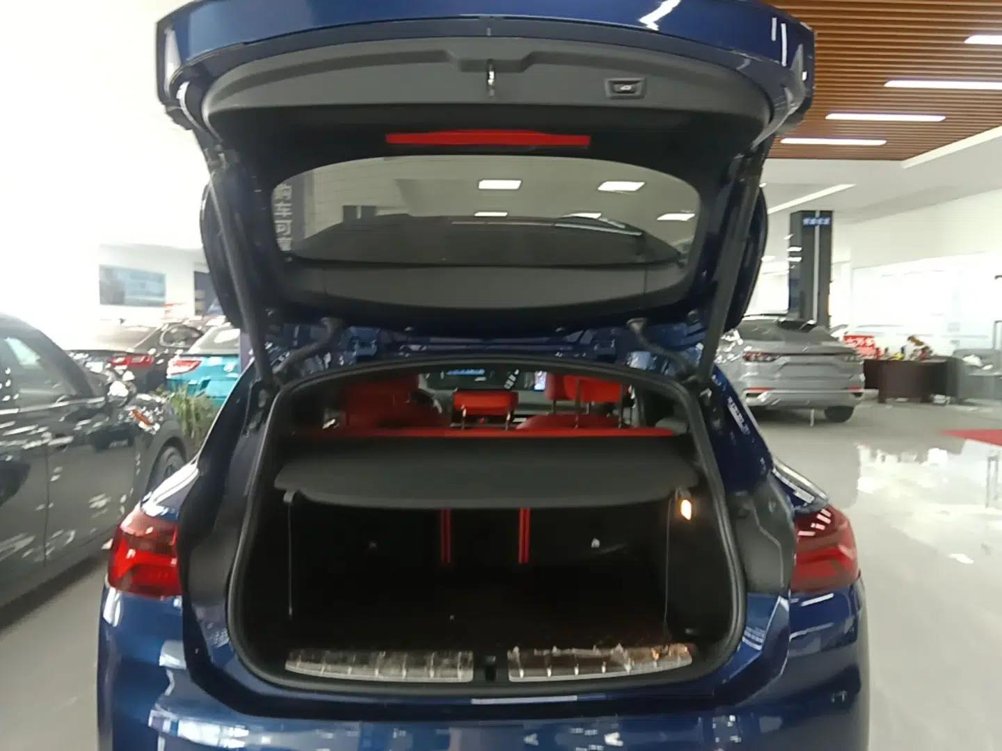 BMW X2 2021 sDrive25i Leading Model M Sport Package — миниатюра 22