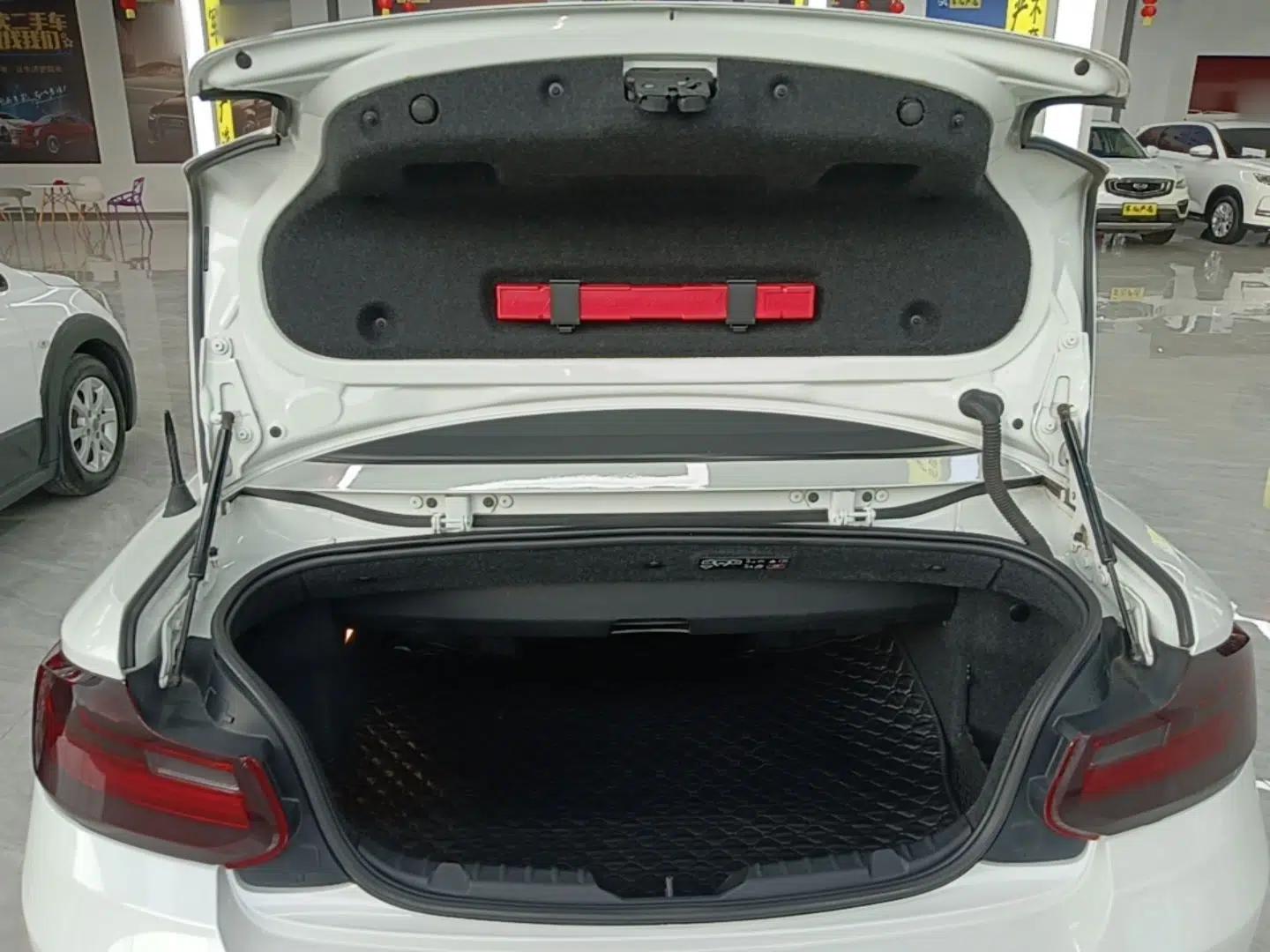 BMW 2 Series 2015 218i Convertible Coupe — миниатюра 22