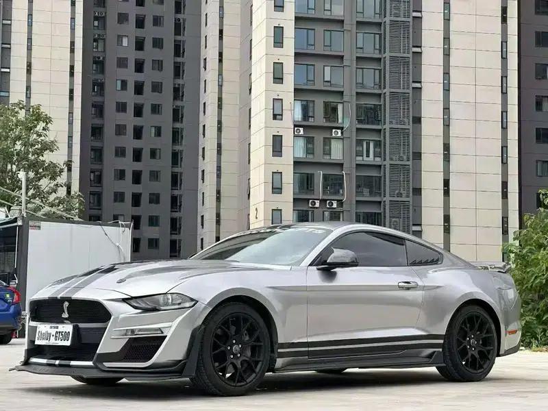 2019 Mustang 2.3T EcoBoost — миниатюра 1