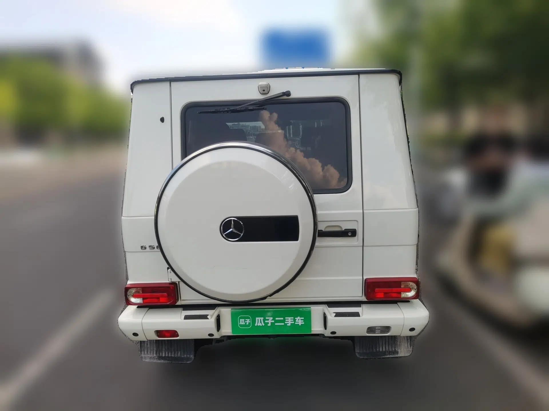Mercedes-Benz G-Class 2010 G 500 — миниатюра 5