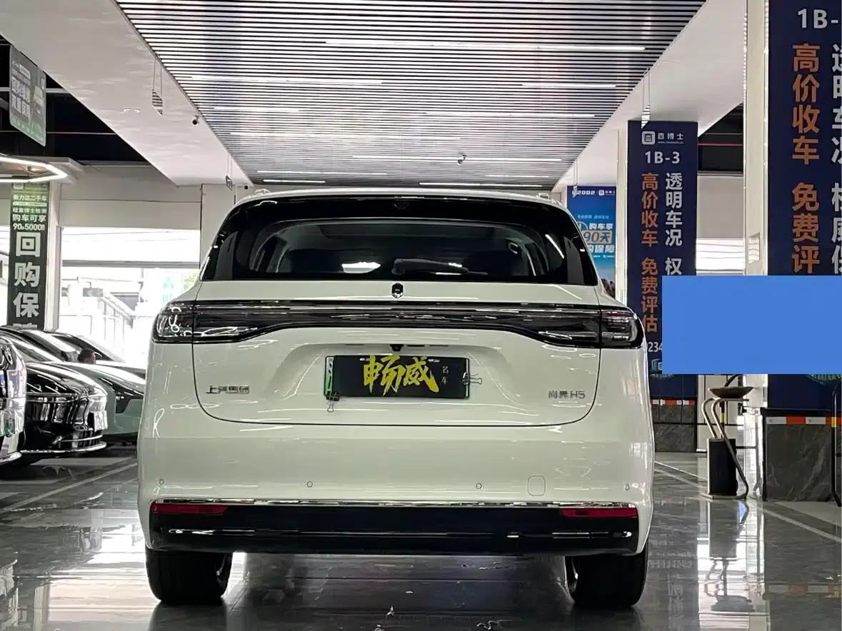 2025 Shangjie H5 Extended Range Max — миниатюра 7