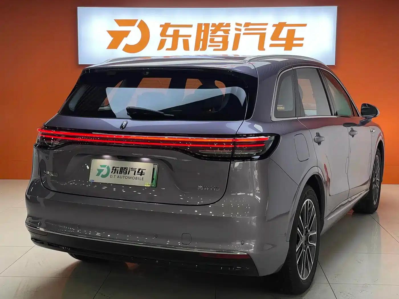 2025 Shangjie H5 Extended Range Max — миниатюра 6
