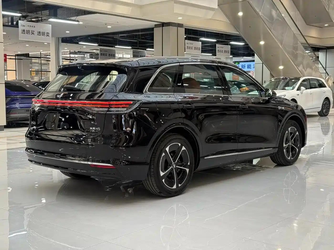 2025 Shangjie H5 Extended Range Max — миниатюра 11