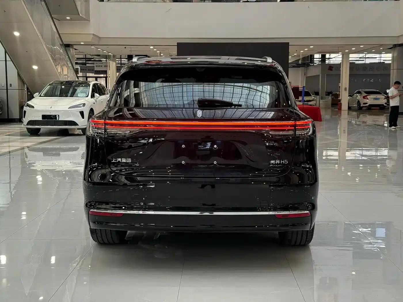 2025 Shangjie H5 Extended Range Max — миниатюра 12