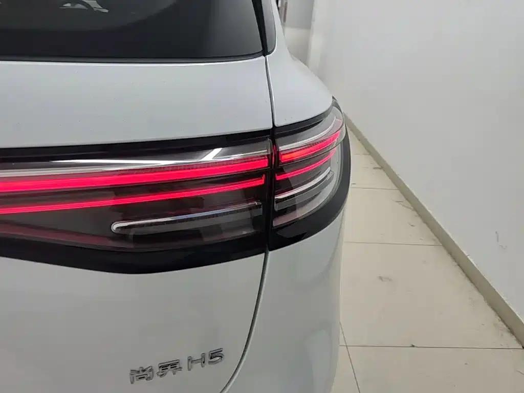 2025 Shangjie H5 Extended Range Max — миниатюра 8