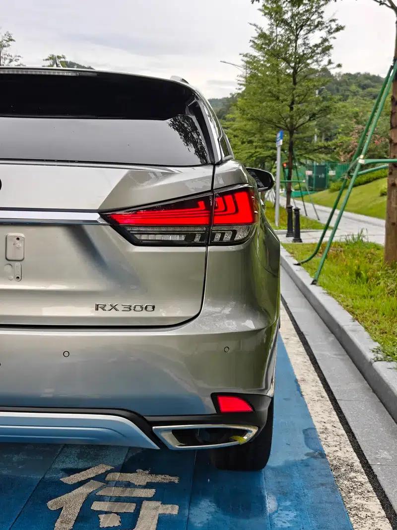 Lexus RX 2020 Facelift 300 AWD Elegant Edition — миниатюра 14