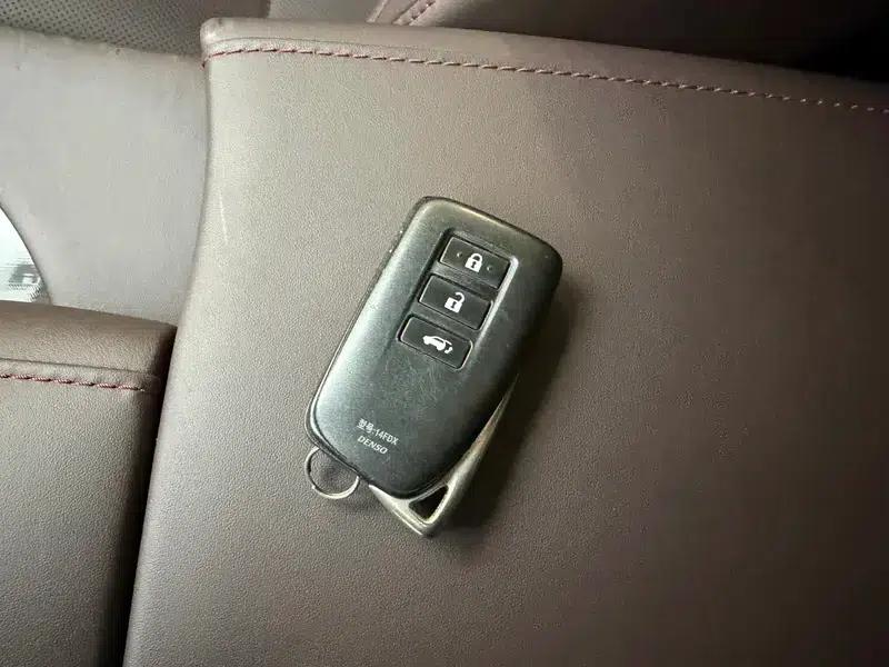 Lexus RX 2020 Facelift 300 AWD Elegant Edition — миниатюра 11