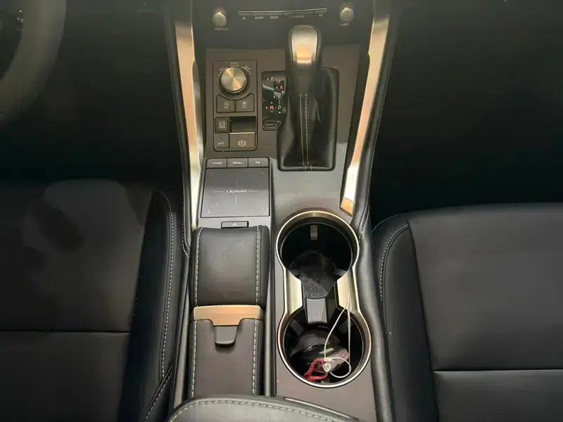 Lexus NX 2020 200 FWD Sport Edition (China V Emission Standard) — миниатюра 14