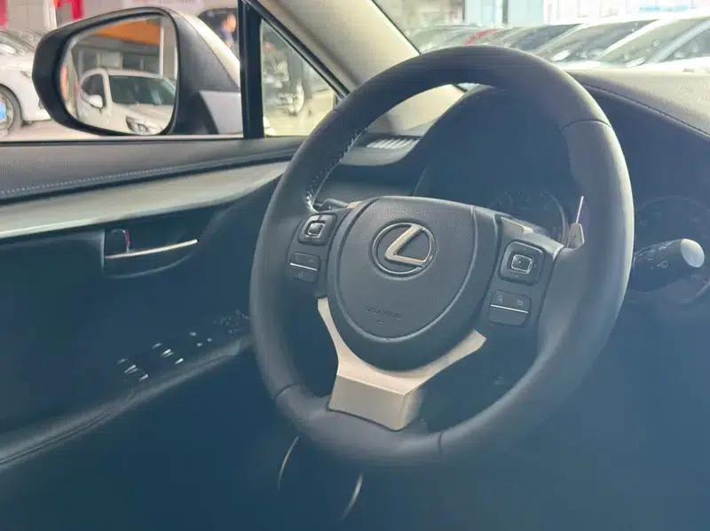 Lexus NX 2020 200 FWD Sport Edition (China V Emission Standard) — миниатюра 16